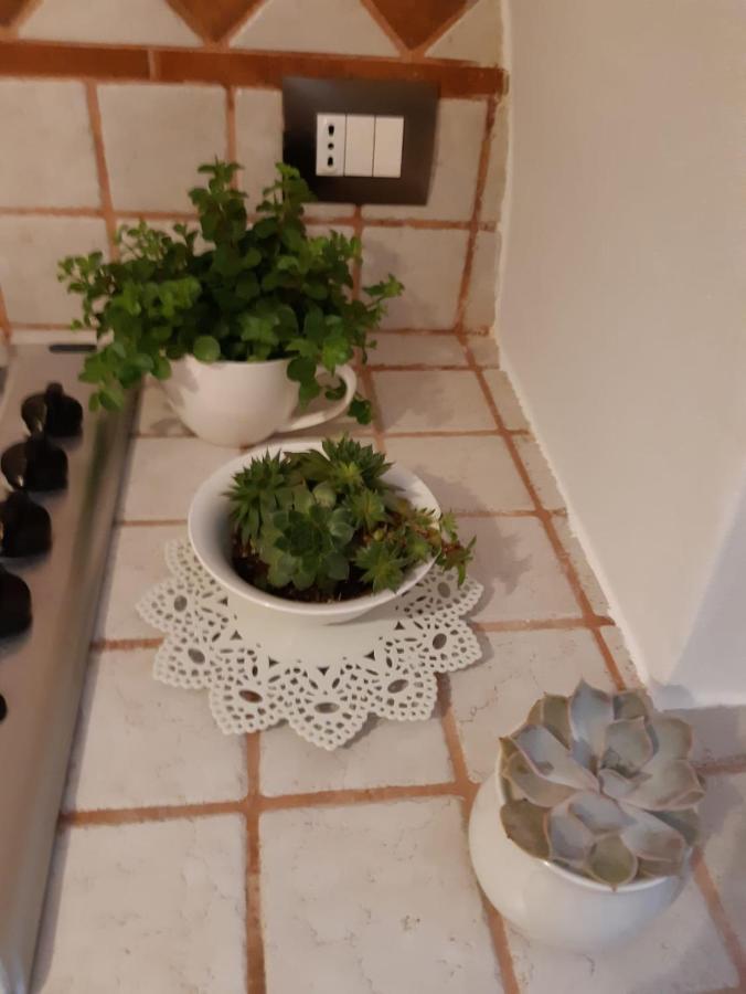 קונברסאנו Donna Lucrezia Dimora A Corte B&B מראה חיצוני תמונה